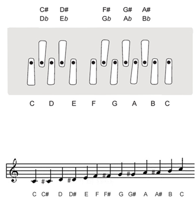 C tuning keyboard layout of Shruti Box M3