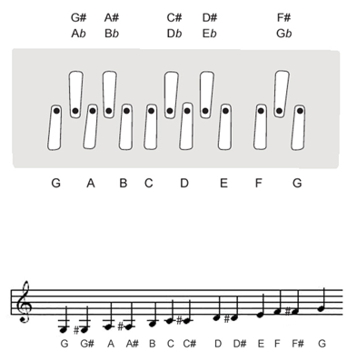 G keyboard layout of Shruti Box M3